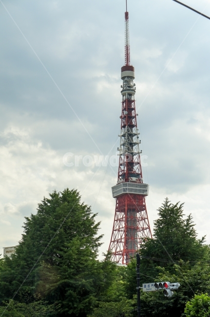 도쿄,타워,도쿄타워,하늘,나무,랜드마크,landmark,tourist attraction,해외,외국,세계,foreign,oversea,world,세계랜드마크,해외랜드마크,외국랜드마크,world landmark,world tourist attraction,tree,plant,식물,spire,첨탑,steeple,뾰족한 탑,tower,탑,architecture,건축물,building,건물