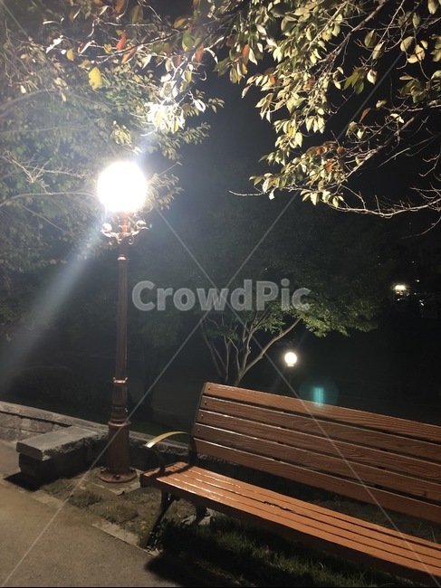 감성,배경,의자,전등,가을,야경,밤,풍경,nightscape,night,landscape,furniture,가구