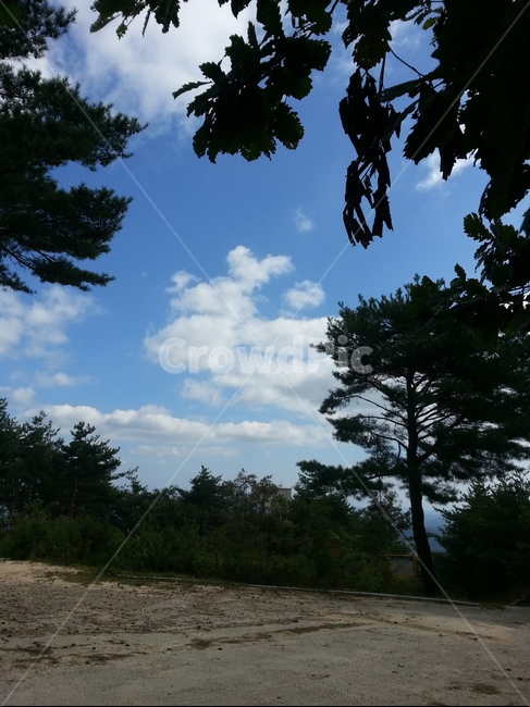 휴식,나무,구름하늘,하늘,산