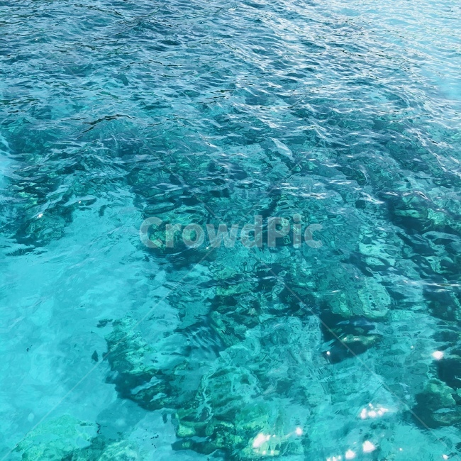 바다,sea,water,물,맑은물