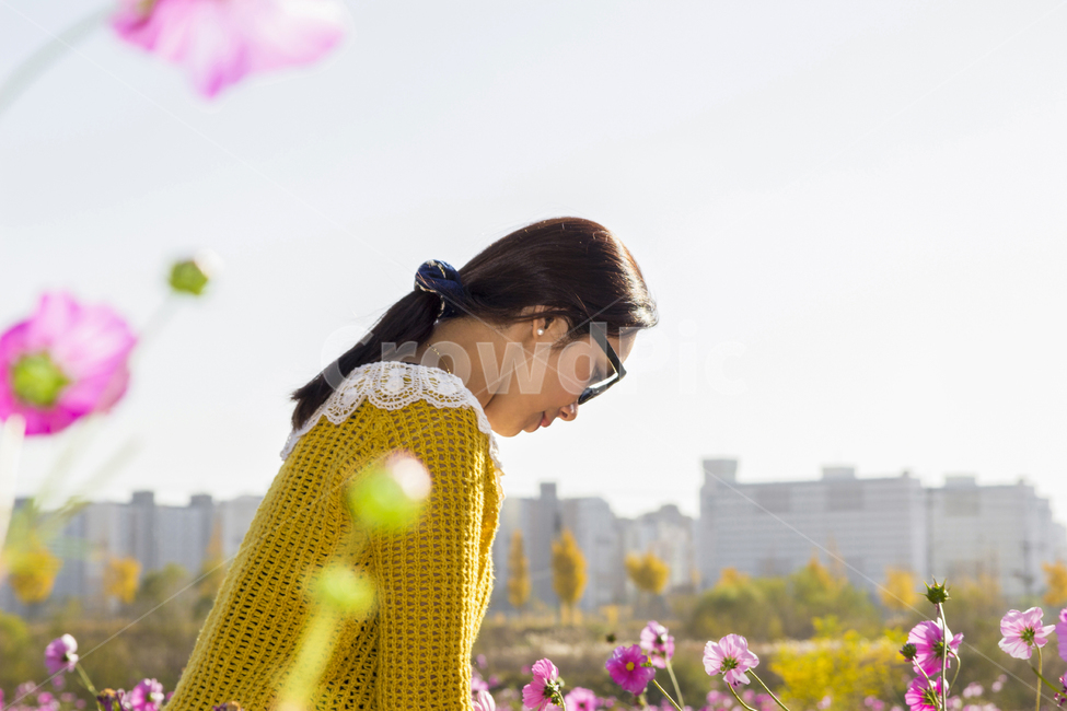 가을,여자,여인,꽃,코스모스,러브,하늘,선글라스,노랑,lady,women,감성사진,여행,힐링,공원,park,소녀,계절,season,사람,people,모델,나무,은행나무,뒷모습,은행잎,풍경,도시,강,배경,단풍,선명한,화사한,fall,autumn,식물,자연,plants,nature,trees,wood,인물,인간,human,person,여성,woman,female,고독함,외로움,쓸쓸함,우울함,슬픔,lonely,solitarytreeplant,가을,계절,fall,autumn,season,사람,인물,인간,human,person,여성,여자,woman,female,lady