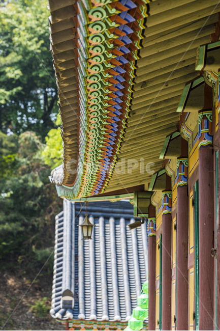 신륵사,문화유산,처마,단청,문양,무늬,기와,한국전통,한국문화,korean traditional,korean culture,건축물,건물외관,exterior,building,structure,architecture,construction