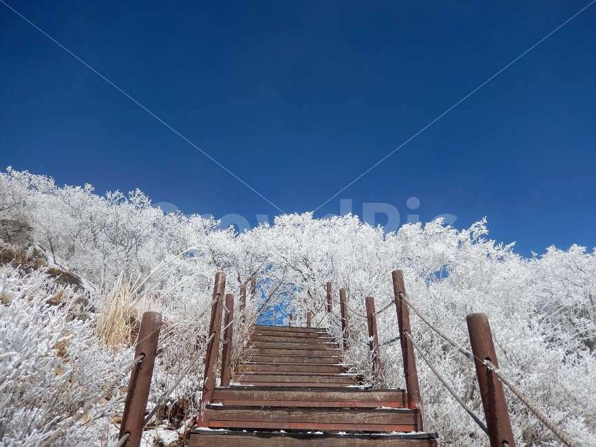 소백산,눈꽃풍경,상고대,겨울풍경,국립공원,겨울동화,힐링,감성,아름다움,뷰티풀,설국,눈풍경,파란하늘,100대명산,겨울명산,설경,서리꽃,영동,snow,landscape,눈,화이트,자연,신비로운,경이로운,천상,비경,치유,산,명산,겨울,계절,winter,season,자연,풍경,nature,landscape,한국자연풍경,한국자연경관,korea nature landscape,ice,얼음,outdoors,옥외
