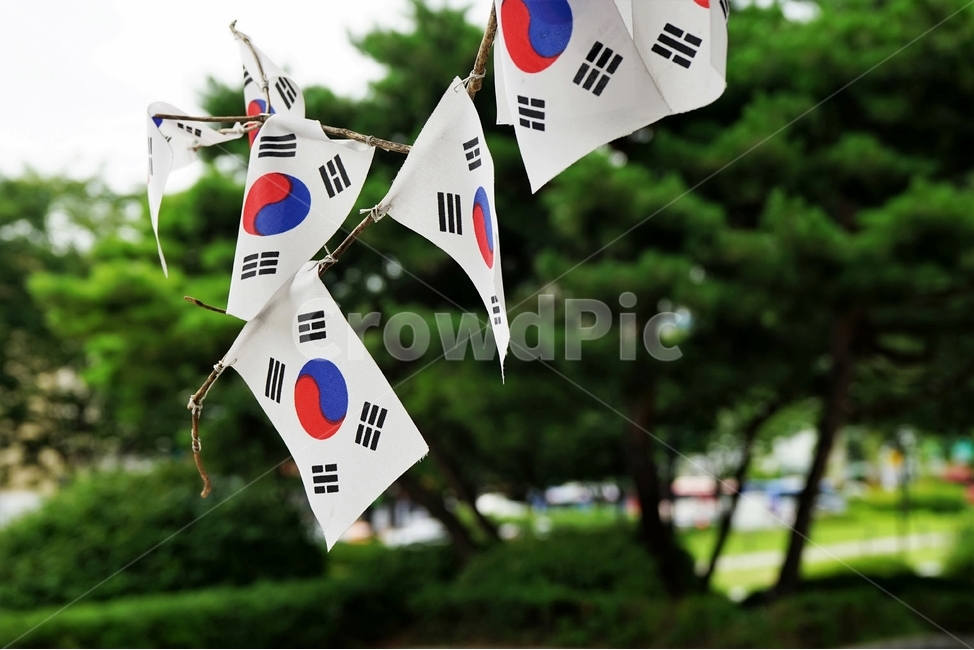태극기,대한민국,나무,나뭇가지,건곤감이,flag,korea,nationalflag,오브제,장식,독립공원,나라,애국,독립운동,광복