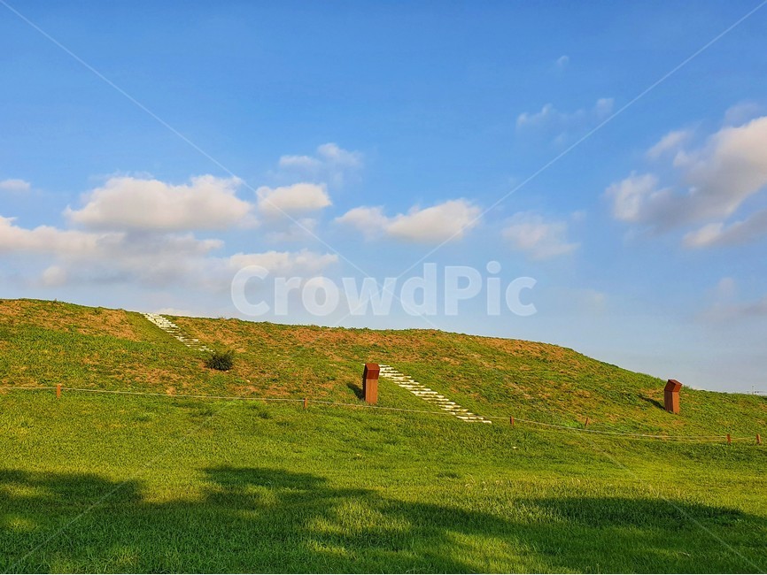 grassland,목초지,들,옥외,자연,countryside