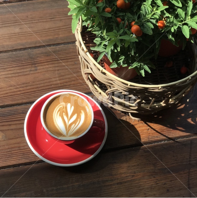 커피,라떼아트,튤립,커피아트,카페라떼,coffee,latteart,tulip,coffeeart,cafelatte,음료수,drink,beverage,커피,카페,coffee,cafe