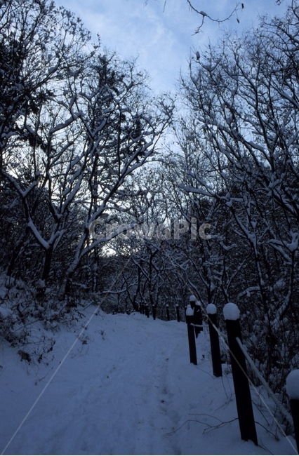 풍경,겨울,눈,등산로,scenery,winter,snow,climbingroute,겨울,계절,winter,season,자연,풍경,nature,landscape,outdoors,옥외
