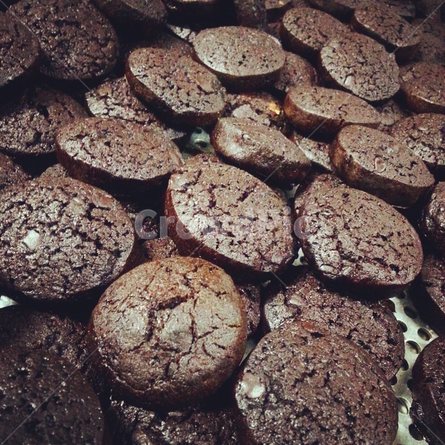 쵸코쿠키,쿠키,베이킹,제과,제빵,버터쿠키,초코,음식,식재료,요리,food,cook,meal,dishes,food reserves,디저트,간식,후식,dessert,snack
