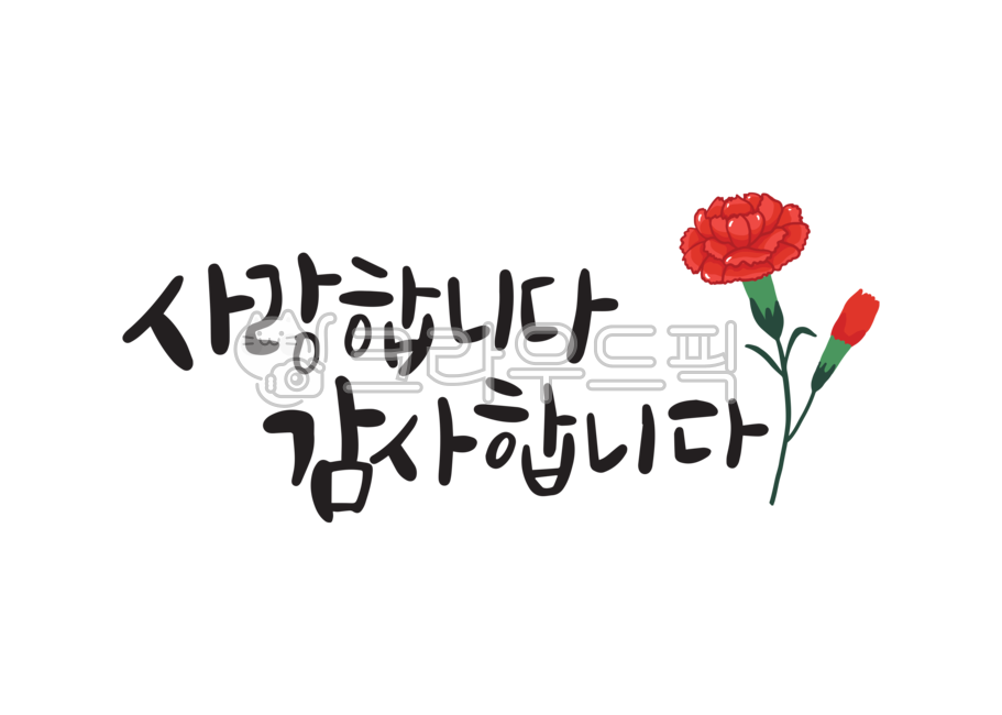 Teachers day,i love you,kindergarden,Day care Center,carnation,thank you,Mothers Day,calligraphy,Parents Day Cali,flower