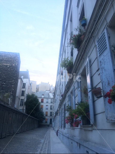 유럽,프랑스,집,화분,분위기,도시,풍경,city,landscape,골목길,alley,해외,외국,세계,foreign,oversea,world,세계도시풍경,해외도시풍경,외국도시풍경,world cityscape,walkway,보도,path,통로,flagstone,판석