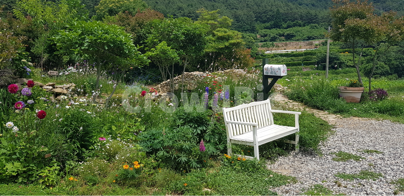 꽃,식물,벤치,포토존,자연,들꽃,초록,풍경,자연,풍경,nature,landscape,outdoors,옥외