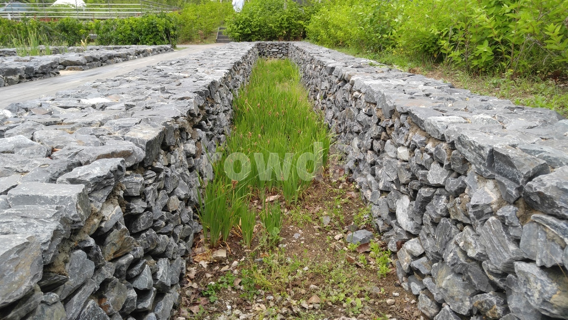 연못,공원,돌,식물,녹색,회색,흙,갈색,배경,감성,계절,pond,park,stone,plants,green,gray,soil,brown,background,emotional,season