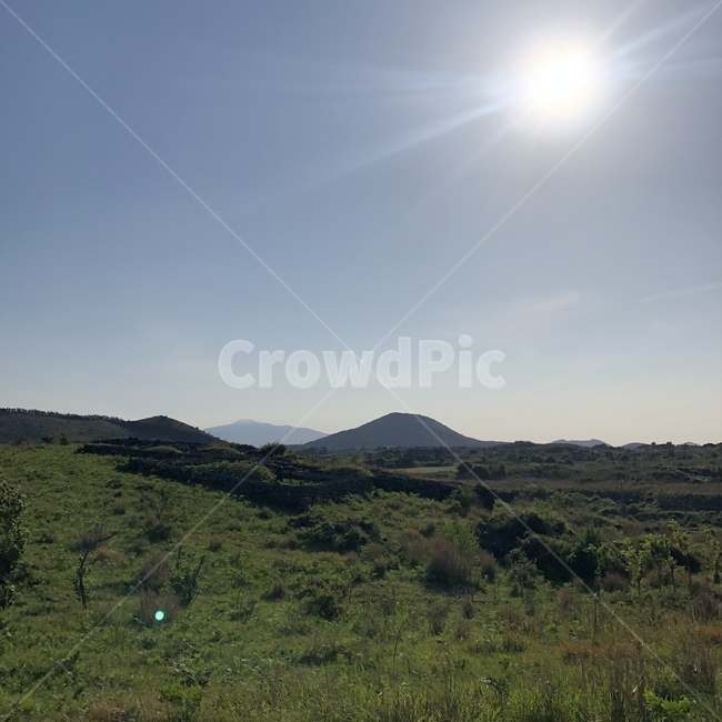 제주도,제주도풍경,제주도오름가는길,오름,제주도봄,봄,나무,자연