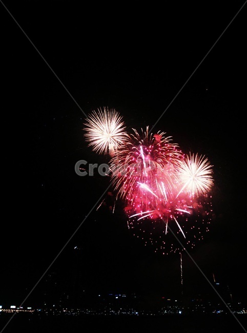 불꽃,불꽃놀이,불꽃축제,밤,한강,순간,아름다움,화려함,화려한,열정,색채,색깔,색,빛,행사,축제,firework,light,night,festival,color,colorful,beautiful,야경,밤,풍경,nightscape,night,landscape,축제,행사,festival,carnival,event,nature,자연,outdoors,옥외