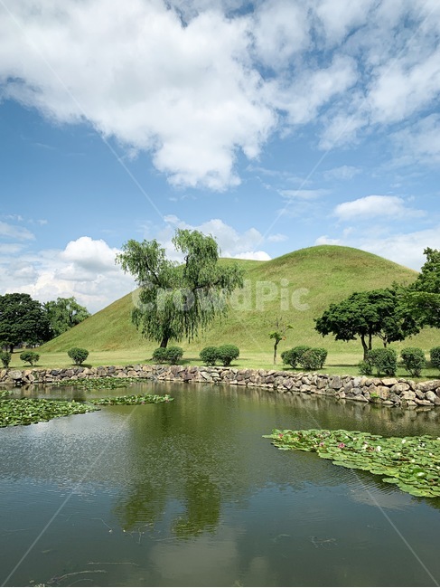 경주,대릉원,관광지,세계문화유산,연못,파란하늘,한국자연풍경,자연,풍경,nature,landscape,한국자연풍경,한국자연경관,korea nature landscape,한국전통,한국문화,korean traditional,korean culture,랜드마크,landmark,tourist attraction,한국랜드마크,한국관광지,한국명소,korea landmark,korea tourist attraction,outdoors,옥외,water,물,grassland,목초지,field,들