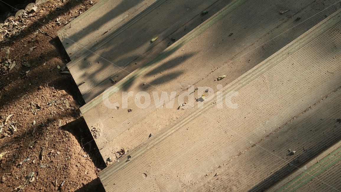 계단,road,도로,가을,자연,빛