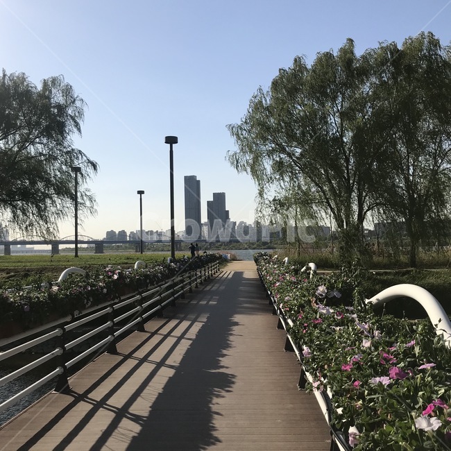 한강,가을,풍경,감성,river,fall