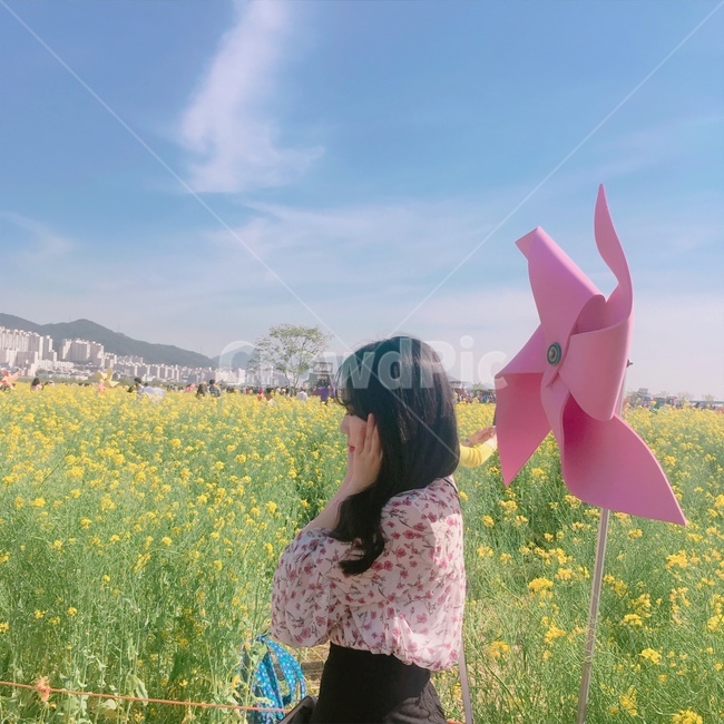 유채꽃,부산대저생태공원,부산유채꽃,바람개비,꽃,봄,계절,spring,season,사람,인물,인간,human,person,여성,여자,woman,female,lady,여행,휴가,traveling,vacation,trip,field,들,grassland,목초지,outdoors,옥외