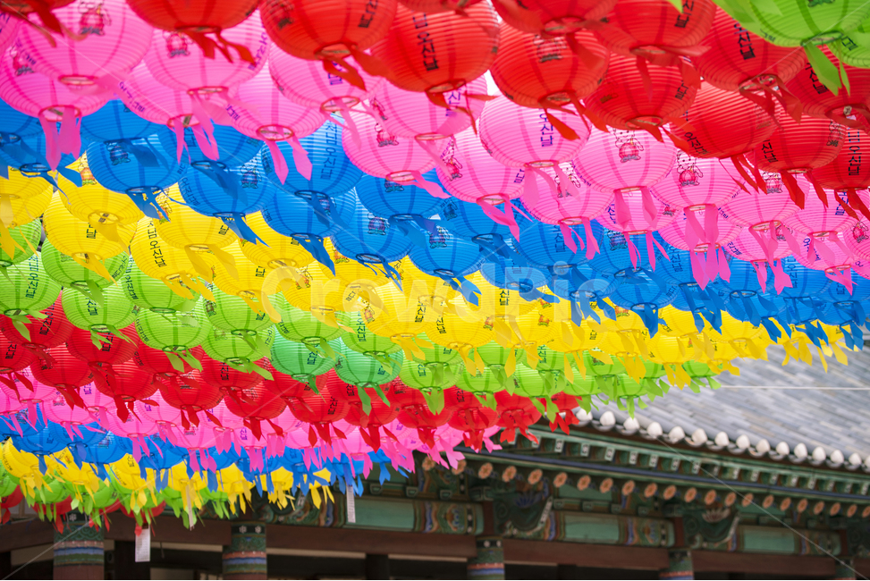 석가탄신일,불교,봉은사,연등,사찰,불교행사,연등행사,한국전통,한국문화,korean traditional,korean culture,종교,신앙,religion,belief,faith,축제,행사,festival,carnival,event,기념일,축하,anniversary,congratulation,celebrate,celebration