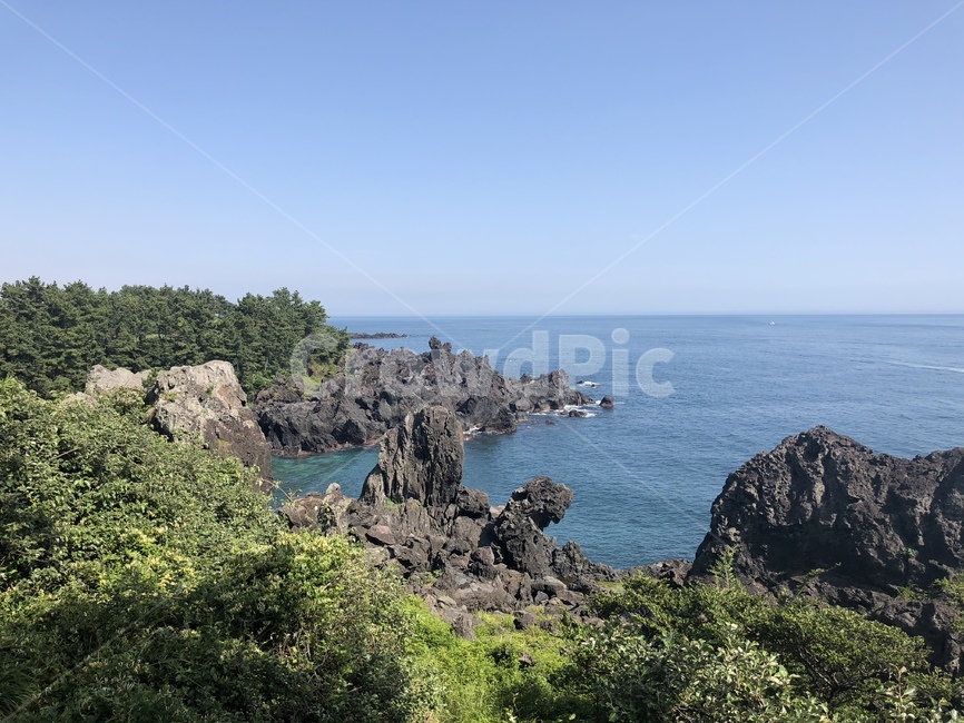 제주도,주상절리,대포주상절리,여름,자연