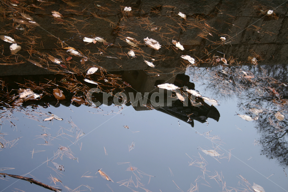 창덕궁,후원,부용지,세계문화유산,문화유산,한국,감성,연못,자연,풍경,nature,landscape,water,물,outdoors,옥외,land,땅