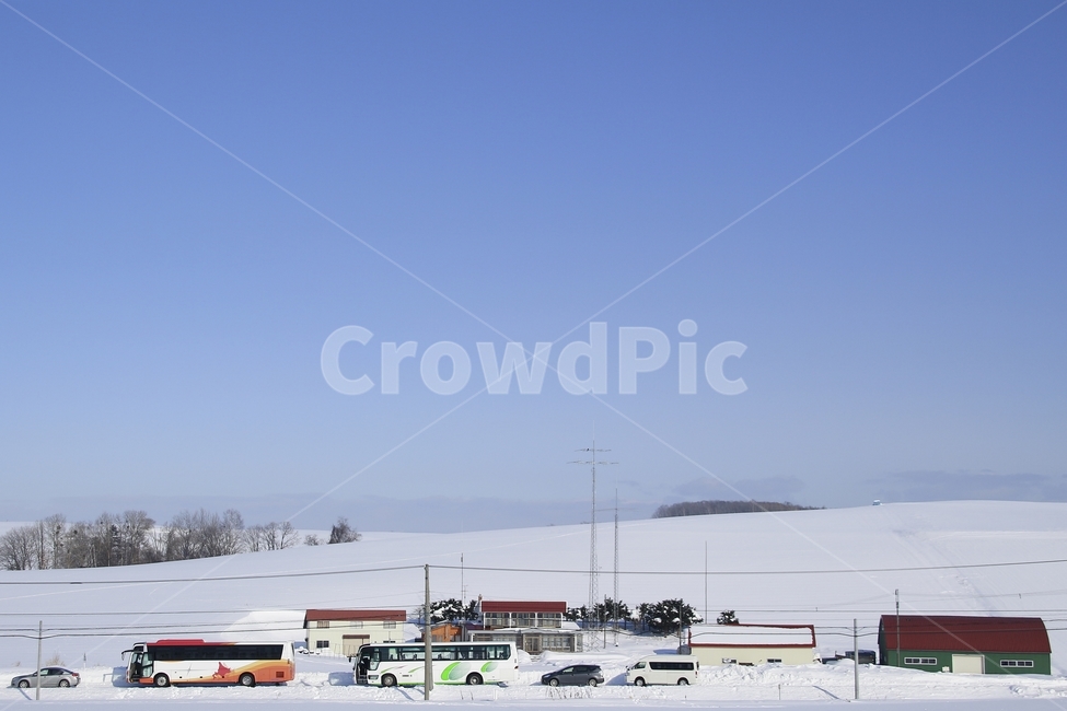 일본,훗카이도,눈,폭설,snow,마을,town,겨울,winter