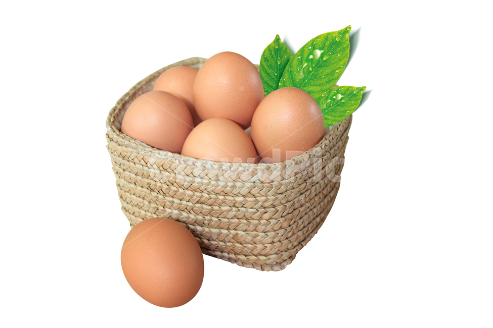 계란,egg,계란꾸러미,계란바구니,정물,달걀,달걀꾸러미,달걀바구니,음식,식재료,요리,food,cook,meal,dishes,food reserves,누끼,remove background