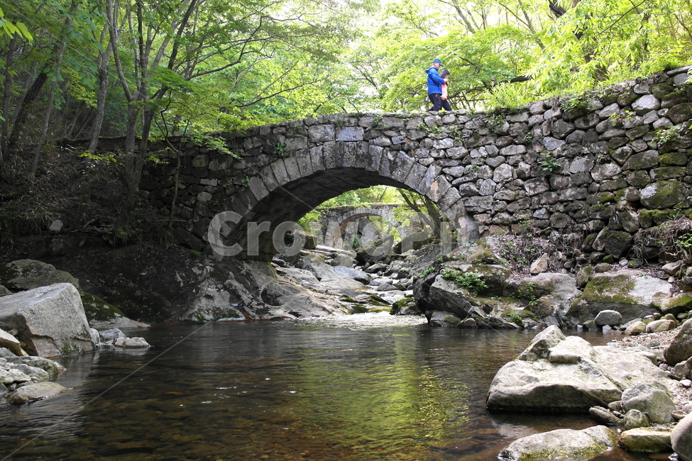 선암사,승선교,무지개다리,계곡,사찰,절,돌다리,순천시,valley,water,stonebridge,arch,아치