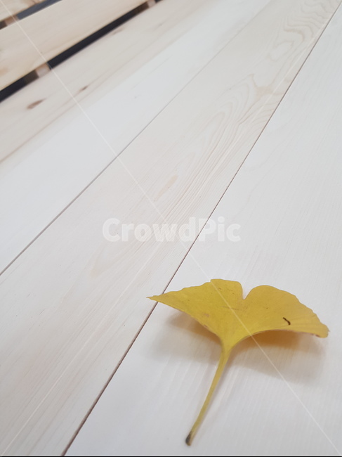 tabletop,테이블탑,wood,나무,가구,furniture,잎,leaf,식물,plant,노랑,은행잎,1,혼자