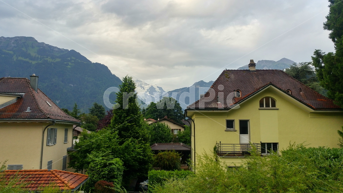 스위스,풍경,경치,야외,swiss,switzerland,자연