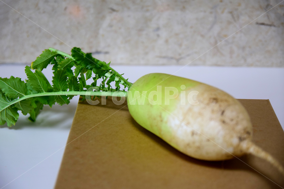 무,순무,무우,뿌리채소,채소,무잎,잎사귀,뿌리,식물,radish,plant,turnip,음식,식재료,요리,food,cook,meal,dishes,food reserves,채소,야채,vegetables