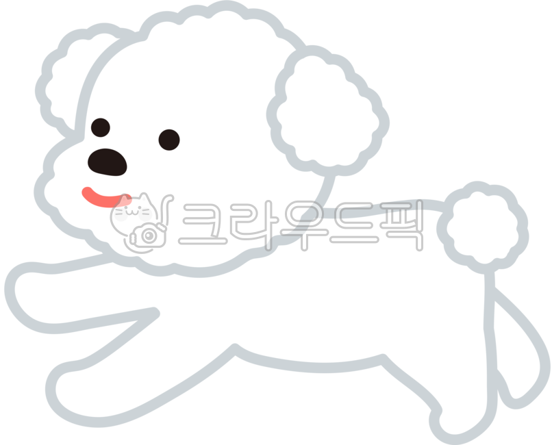 강아지,귀여운,흰색,활발한,애완동물,반려동물,푸들,동물,비숑,캐릭터