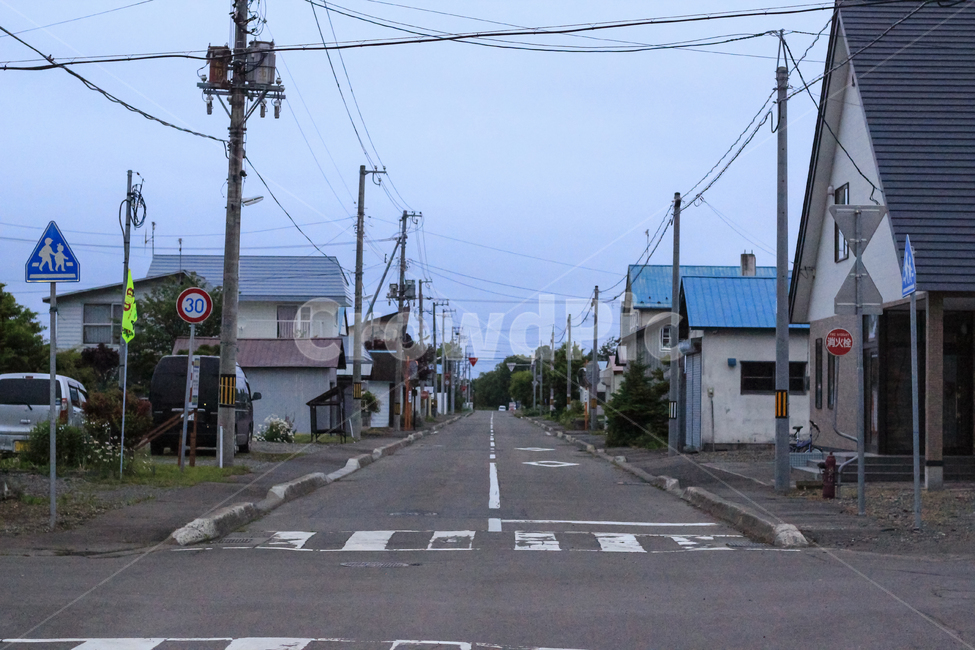 street,senary,도로,길거리,풍경,일본,okkoppe