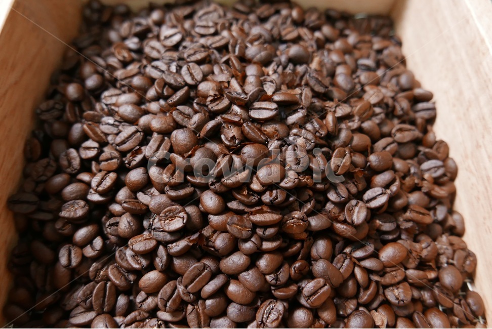 홈카페,커피,원두,espresso,에스프레소,수동머신,수동에스프레소머신,커피,카페,coffee,cafe