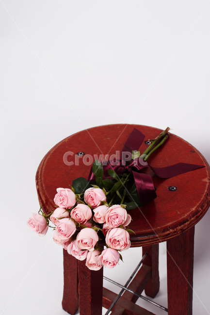 장미꽃,의자,분홍색,선물,감성사진,꽃,리본,스튜디오,꽃,flower,기념일,축하,anniversary,congratulation,celebrate,celebration