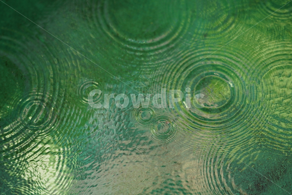 비,빗소리,빗물,감성,감성사진,장마,여름,장마철,rain,물방울,물,날씨,비,비오는날,rain,rainy
