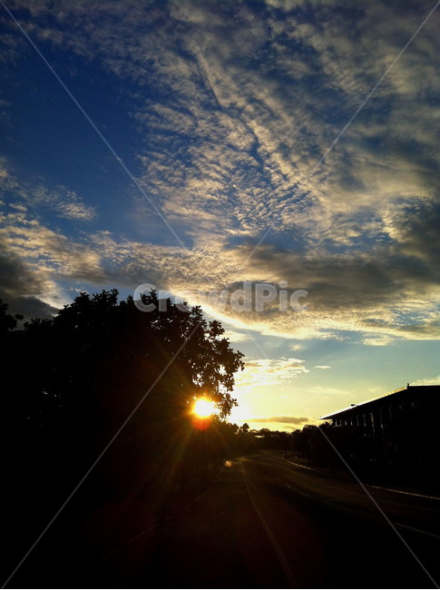 road,일몰,걷고싶은길,일상,하늘,노을,자연,풍경,nature,landscape,flare,플레어,light,빛,sunlight,햇빛