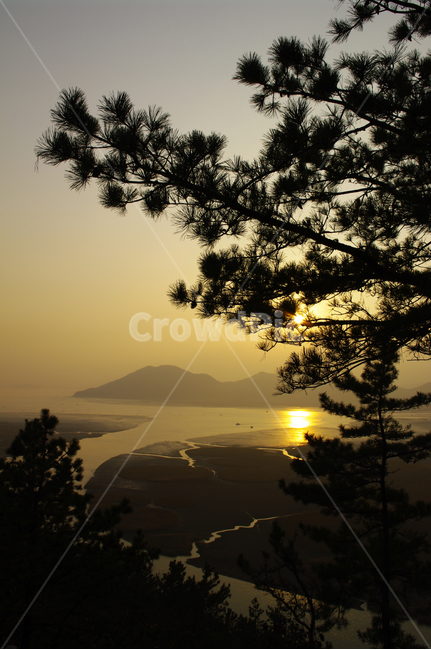 순천만,일몰,석양,노을,풍경,나무,자연,풍경,nature,landscape,light,빛,flare,플레어,sunlight,햇빛,outdoors,옥외,dawn,새벽,sky,하늘,red sky,붉은 하늘,sunset,dusk,황혼