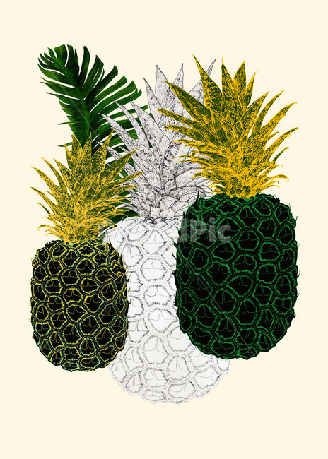 plant,식물,fruit,과일,food,음식,pineapple,art,액자,그래픽,일러스트레이션,graphic,illustration