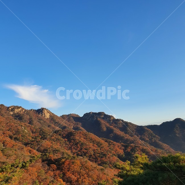 nature,자연,mountain,산,outdoors,옥외,가을,landscape,정상,꼭대기,북한산,감성사진,배경,background,숲,단풍,tree,자연풍경,풍경,colorful,봉우리,하늘,깔끔한,가을산,가을풍경,나무,잎,초록,갈색,가을배경,국립공원,koreanmountain,leaf,nationalpark