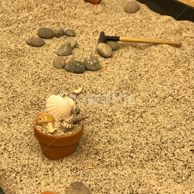모래놀이,조개,돌,모래,흙,삽질