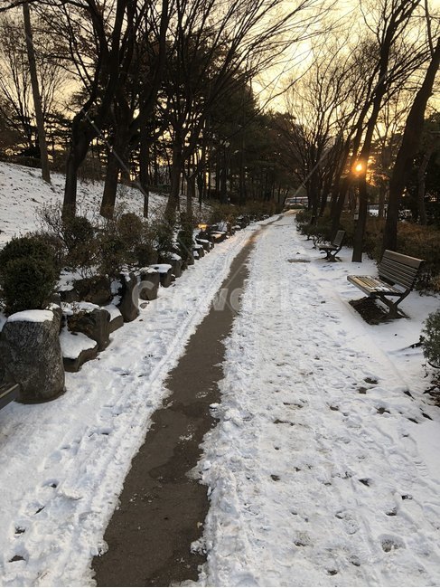 석촌호수,호수,공원,호수공원,잠실,lake,park,lakepark,겨울,계절,winter,season,자연,풍경,nature,landscape,tree,나무,plant,식물