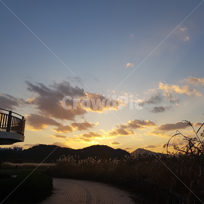 노을,갈대숲,갈대,일몰,붉은하늘,구름,나무,자연,풍경,nature,landscape
