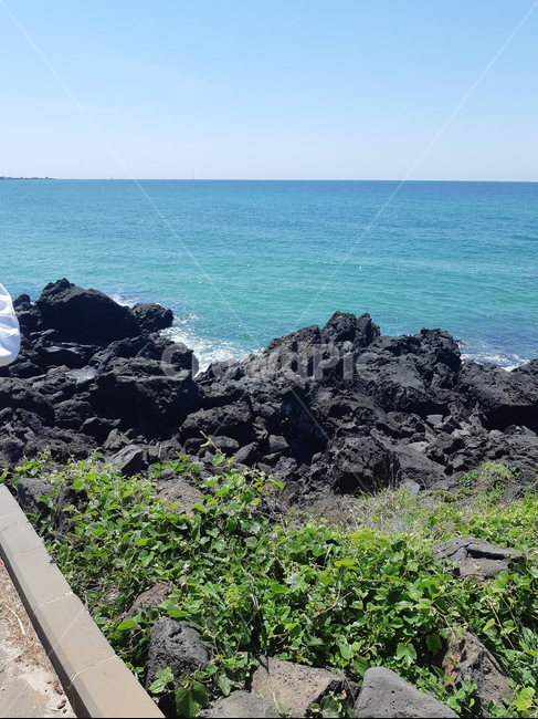 해수욕장,바다,제주도,해변,수평선,올레길,7코스,현무암,하늘,날씨,맑음