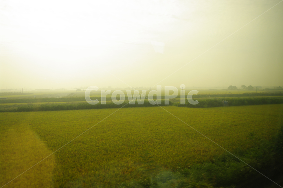 창,풍경,하늘,밭,논,자연,풍경,nature,landscape,outdoors,옥외,grassland,목초지,field,들,paddy field,패디 필드