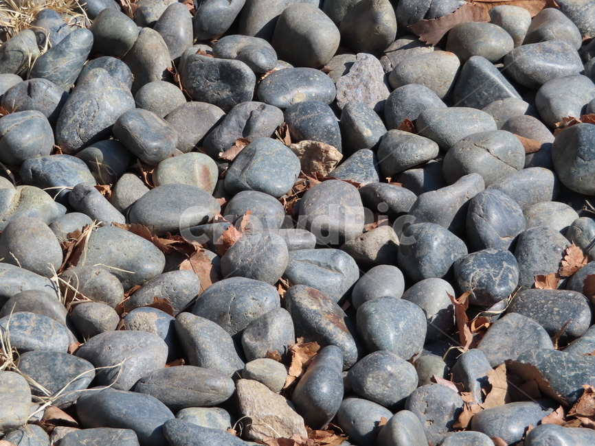 패턴,돌멩이,돌,암석,자유분방,회색,흰색,여러개,돌바닥,모여있는,지압,pattern,stone,rock,freestanding,gray,white,several,stonefloor,텍스처,질감,패턴,texture,pattern