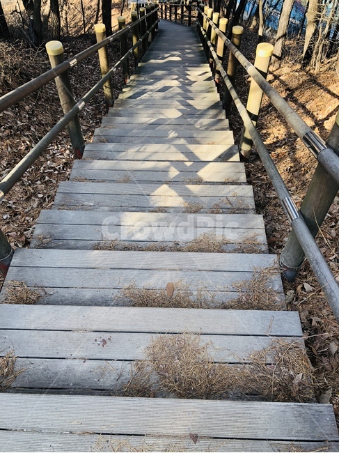 계단,등산,나무,자연,하산,산,가을,자연,풍경,nature,landscape,bridge,다리,building,건물,boardwalk,산책로