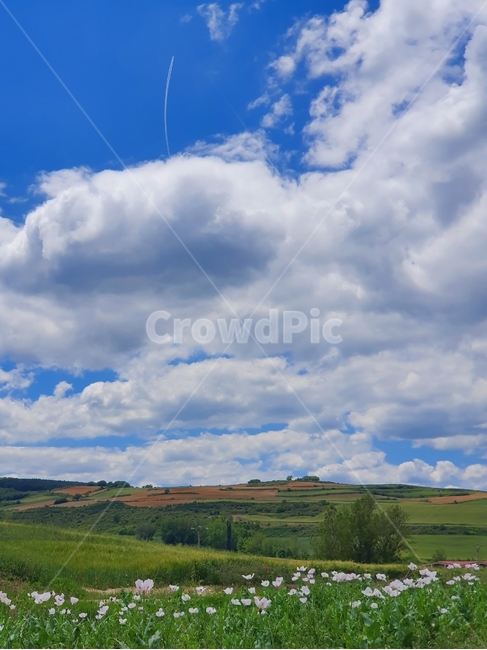 nature,자연,outdoors,옥외,weather,날씨,grassland,목초지,field,들,sky,하늘,cumulus,적운,cloud,구름,비행운,spain,스페인,자연,풍경,nature,landscape