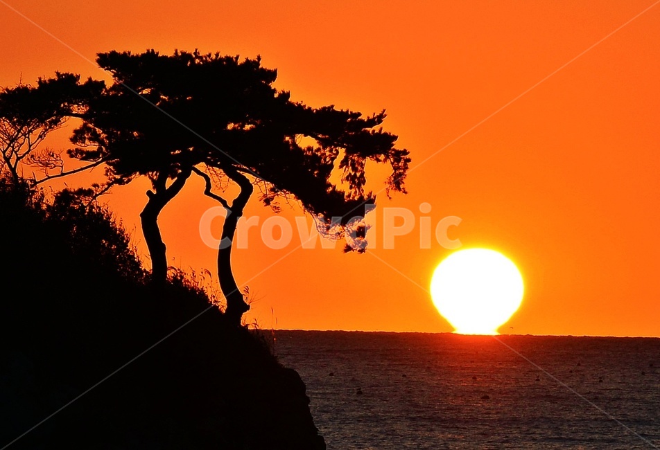 전북,부안,변산,솔섬,임몰,용,오여사,오메가,용의입,황금노을,nature,자연,outdoors,옥외,sky,하늘,자연,풍경,nature,landscape,한국자연풍경,한국자연경관,korea nature landscape
