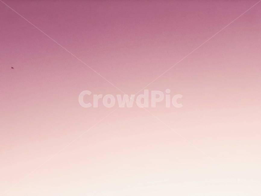 자연,하늘,구름,핑크,감성,분홍,sky,clouds,pinksky,nature,pink,sensible,feeling,색상,색감,color,sense